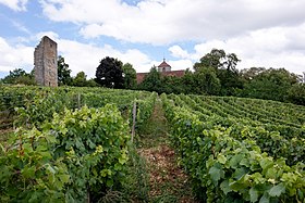 Toulouse-le-Château