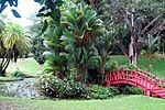 Miniatura para Jardín botánico de San Juan