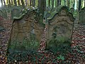 Judenfriedhof