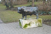 Stier in Warnemünde