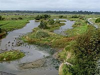 Wexford Wildfowl Reserve