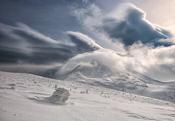 Monte Hoverla. Pinheiro-das-montanhas (Pinus mugo) sob a neve. Parque Natural Nacional dos Cárpatos, Ucrânia. O monte Hoverla, com 2 061 metros, é a montanha mais alta da Ucrânia e faz parte das montanhas dos Cárpatos. As encostas são cobertas por florestas de faias e abetos, sobre as quais se estende um cinturão de florestas subalpinas e prados. Na encosta leste está a nascente principal do rio Prut. O nome é de origem húngara e significa 'fortaleza de neve'. Hoverla é composto de arenito, uma categoria de rocha sedimentar. Em outubro de 2007, membros da União da Juventude Eurasiática, afiliada ao partido político de extrema-direita, Eurásia, vandalizaram os símbolos oficiais do Estado ucraniano que haviam sido colocados no seu cume. (definição 2 700 × 1 868)