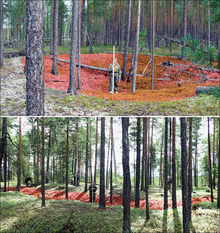 Top: A researcher with a measuring pole stands in a forested depression, highlighted in red. Bottom: A researcher stands in a long forested ditch, highlighted in red.