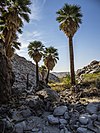 Anza Borrego-Palo Verde Site, S-2