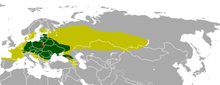 Distribución xeográfica histórica:Verde claro, no holoceno;Verde escuro, na Alta Idade Media;Vermello, comezos do século XX