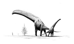 Brachiosaurus-brancai