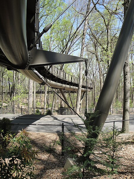 File:Canopy walk atlbotgarden.jpg