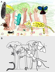 An art scape image showing the relative importance of animals in a rain forest through a summary of (a) child's perception compared with (b) a scientific estimate of the importance. The size of the animal represents its importance. The child's mental image places importance on big cats, birds, butterflies, and then reptiles versus the actual dominance of social insects (such as ants). ChildrenPerceptionBiomass.jpg