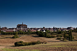 Skyline of Coulanges-la-Vineuse