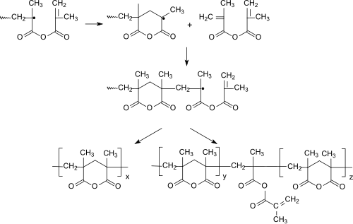 Cyclopolymerisation von Methacrylsäureanhydrid