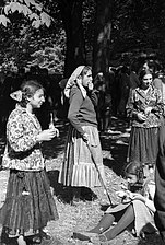 Пољска Ромкиња [en] у традиционалној хаљини