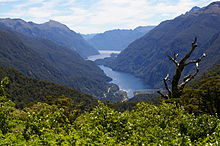 Doubtful Sound