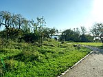 Elbpark Falkensteiner Ufer vor ehemaligem Wasserwerk