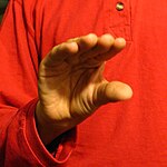 The "FlatC" handshape produced with the the palm facing the camera