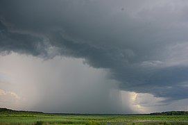 平原での灰色の降水雲