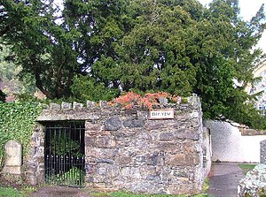 Fortingall Yew, Scotland - the oldest living c...