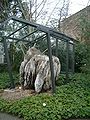 Árbol fósil en el "Botanischer Garten Dresden".