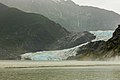 Vista da un sentiero del ghiacciaio Mendenhall nell'agosto del 2003