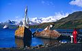 Le baleniere "Días" e "Albatros" semi affondate nel molo di Gritviken[3]