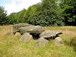Das Großsteingrab D41 in Emmen
