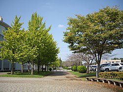 常総運動公園