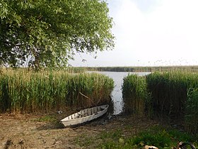 Image illustrative de l’article Lac Kartal