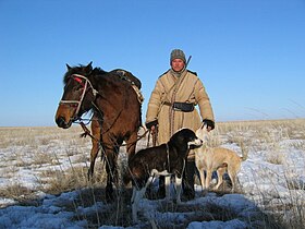 Berger kazakh avec son cheval et ses chiens.