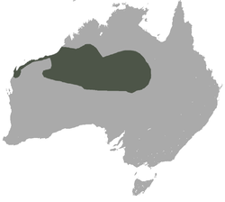 Mapa de distribución de Sminthopsis youngsoni