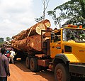 A logging truck and bush taxi have a close call on the road between Abong-Mbang and Lomié, Cameroon