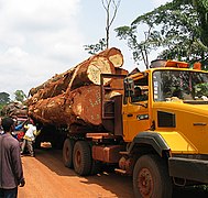 Logging truck and bush taxi accident
