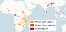 Distribution of living elephant species