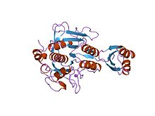 PDB 1spb EBI.jpg