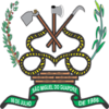 Coat of arms of São Miguel do Guaporé