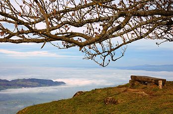 Panorama de la région du lac de Zoug depuis le flanc du Rigi en Suisse centrale. (définition réelle 3 008 × 2 000*)