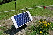 Solarantrieb für elektrischen Weidezaun26. Mai 2010