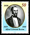 1829–1884, Alfred Edmund Brehm