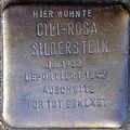 Stolperstein für Cili-Rosa Silberstein (Kartäuserhof 13)