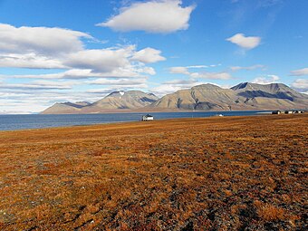 Svalbardska tundra