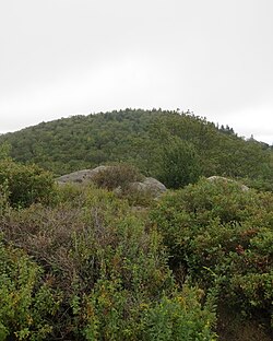 TRue Summit Gap Mountain.JPG