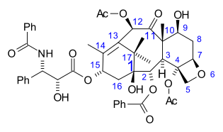 Position numbering