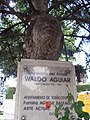 Estatua a Waldo Aguiar, en calle Carlos Picabea.