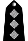 Ук-полиция-04.PNG
