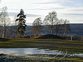 Ancient burial mound (Veien Kulturminnepark)