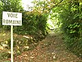 La voie romaine de la Chapelle des Buis.