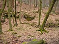 Hammerwerk, Stauanlagen, Eishausgraben Gelpetal: Manneshammer/Lüttermannshammer