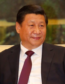 Xi jinping 2013