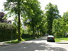 Blumenthalstraße
