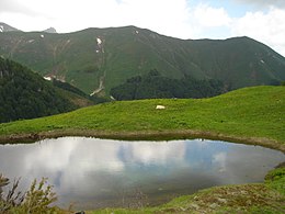 Поглед водите на езерото