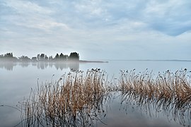 Утренний туман на озере Селигер.