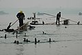 Ribolov kormoranima na jezeru
